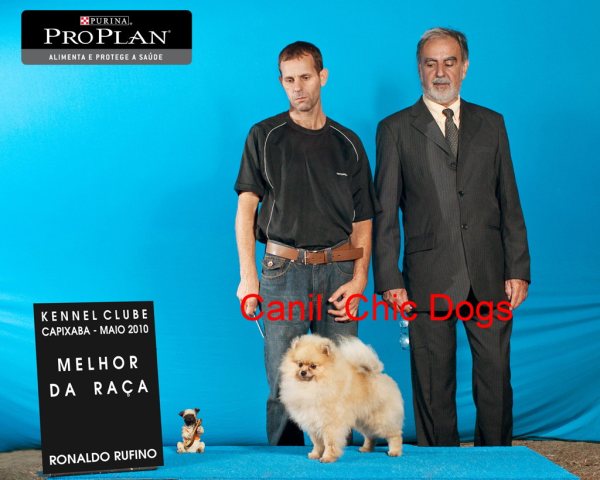 Clique sobre a foto para fechar